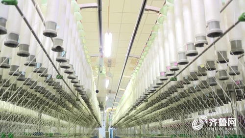 德州 向 鏈 而行 打造紡織服裝百億級產(chǎn)業(yè)集群