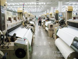 歐盟新禁令涉及紡織服裝包裝等行業