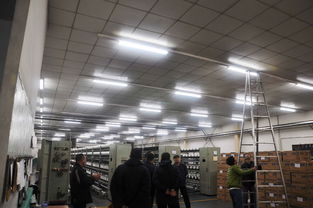 河北新大東紡織廠關于led日光管的改造順利完成