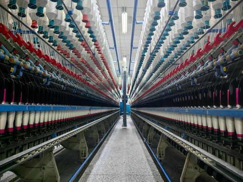 山東夏津政企同心激發(fā)紡織產(chǎn)業(yè)新活力一線見(jiàn)聞