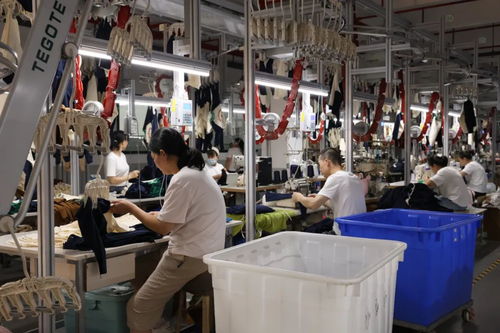 追 高 逐 質(zhì) 勢(shì)如虹 荊州市2024年三季度重大項(xiàng)目建設(shè)拉練活動(dòng)側(cè)記