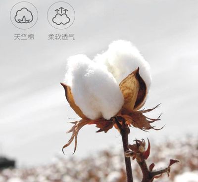 在辦公室睡覺,竟然比家里沙發還舒服!