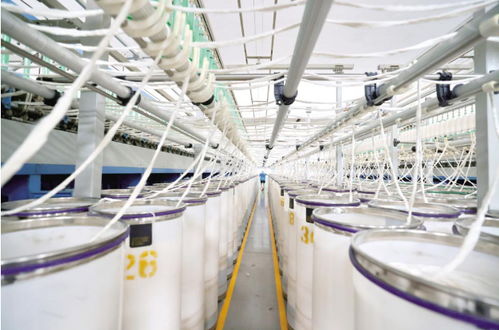 工人在冠星紡織集團(tuán)粗紗車間開(kāi)展巡檢作業(yè)