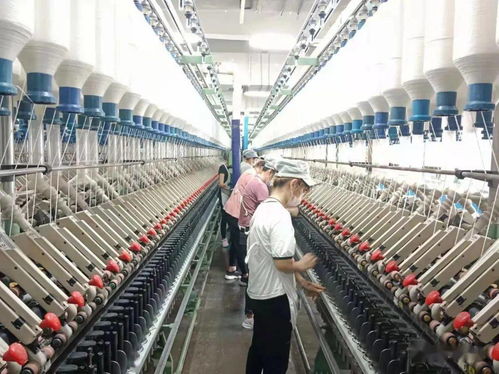 魏橋紡織節(jié)后開(kāi)臺(tái)忙 新春 開(kāi)門紅