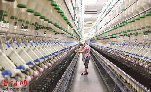 洛陽(yáng)白馬紡織集團(tuán) 發(fā)揮技術(shù)優(yōu)勢(shì) 產(chǎn)品遠(yuǎn)銷歐洲