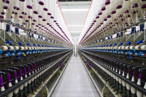 動態 奔達紡織 產業鏈協同創新,提升市場競爭力 紡織服裝周刊 今天