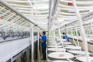 怎么紡織精品毛巾呢