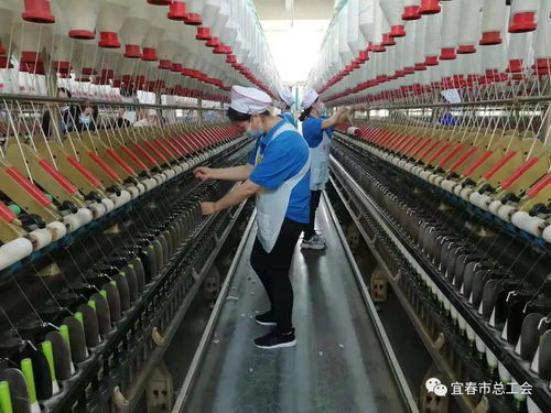 2020年宜春市紡織行業(yè)勞動和技能競賽在奉新舉行