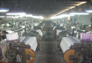 供應滌棉坯布80 20 72 50 43.5價格 廠家 圖片