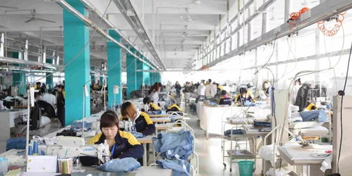 關注 從下單到接收產品只需5天,舒朗如何做到 智 取消費者