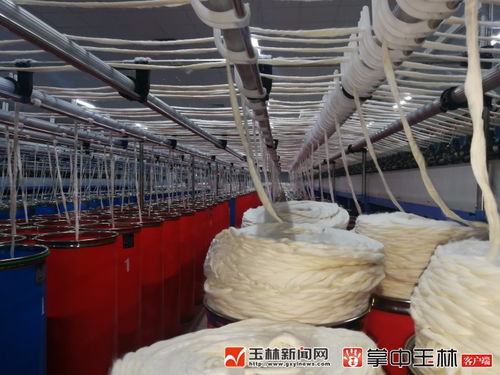 陸川縣 打造百億紡織城 恒和紡織正式投產