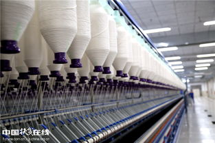 新疆呼圖壁縣 紡織帶動就業助增收