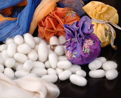 Tao整體家居:探秘蠶絲家紡 現代家居的絲綢之路