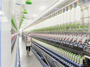 南陽日?qǐng)?bào)多媒體數(shù)字報(bào)刊平臺(tái),南陽日?qǐng)?bào)多媒體數(shù)字報(bào)刊平臺(tái),南陽,南陽日?qǐng)?bào),南陽網(wǎng),南陽社區(qū)