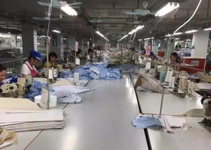 用顏值和實(shí)力征服嘉定人 eily家紡店 開業(yè)折扣令人尖叫