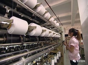 恩平市紡織服裝協(xié)會換屆