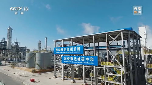 焦點訪談丨如何因地制宜發展新質生產力 各地 妙招 都在這了