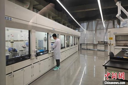 福建晉江 閩派 男裝奏出綠色與創新的交響樂