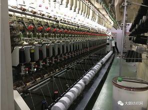 成豐紡織 新品推薦1 14nm牛絨紗