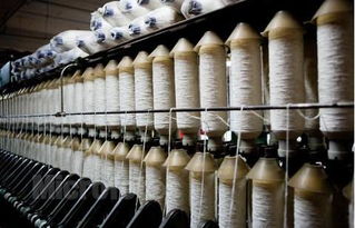 紡織原料行情解讀 旺季之時表現各有不同