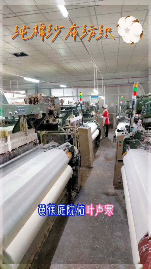 純棉紗布面料紡織工,干不夠接著干