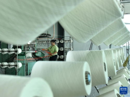 河北肅寧 打造紡織服裝產業集群助推縣域經濟