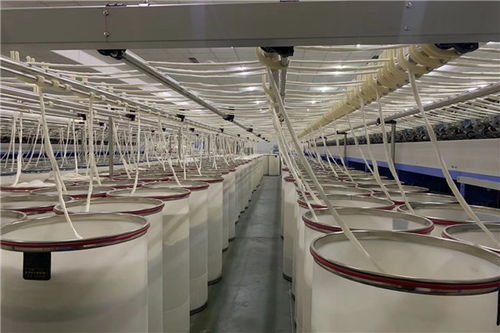 平邑薄荷40 jc60工廠濰坊澤宇紡織