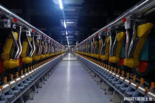 從2023年中報看,新鄉(xiāng)化纖的經(jīng)營趨于穩(wěn)定,未來得看新項目的表現(xiàn)