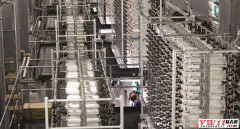 紡織公司起名指南 創意與實用并存