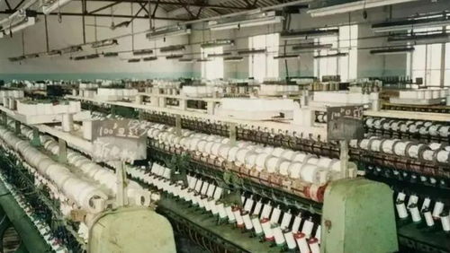 年入7800億，范紅衛(wèi)如何以紡織業(yè)撐起中國女首富寶座